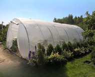 Tunel Ogrodowy Foliowy Szklarnia 6x3x2 m (18m²) [FOLIA + STELAŻ] Biały