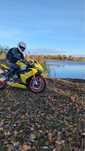 Aprilia RS 660 A2