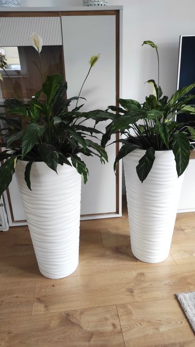 Donice wysokie 80 cm