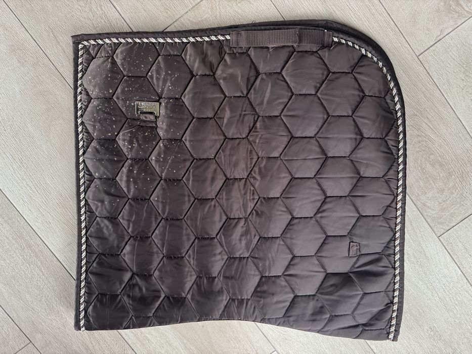 Вальтрап , Виїздка, Київ