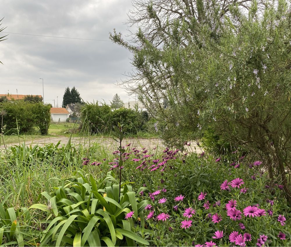 Terreno Centro da Vila, vista Espanha e Rio Minho