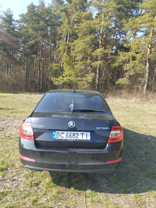 Skoda Octavia a 7