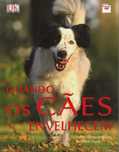 Quando Os Cães Envelhecem