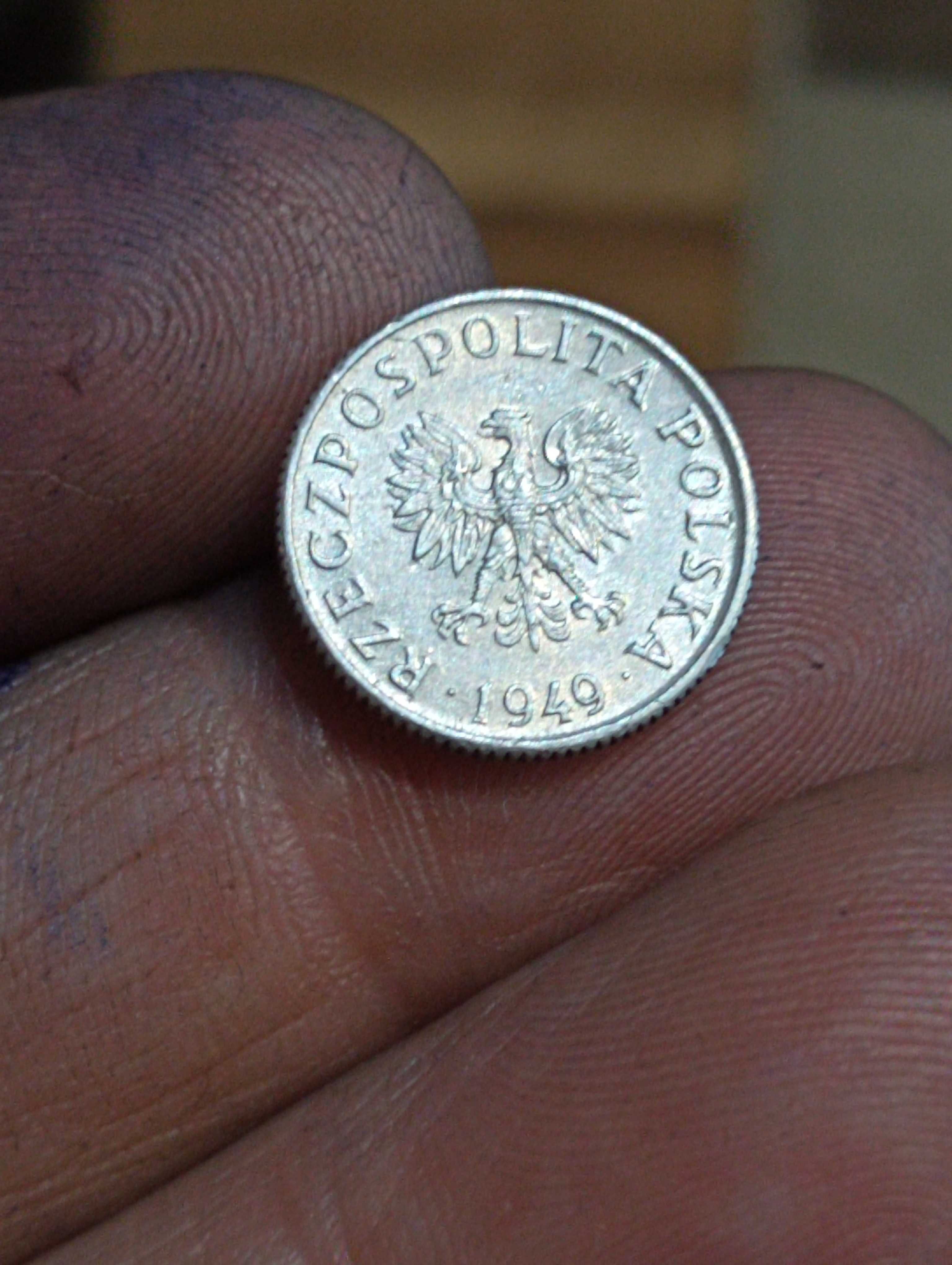 1 grosz 1949 r bez znaku mennicy