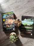 Livros Paula Hawkins