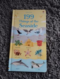 Usborne 199 things at the seaside