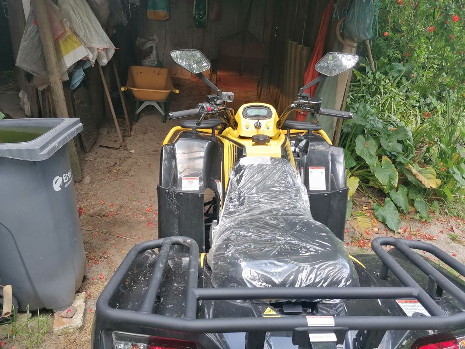 Moto 4 - 300 cc (03/2025)