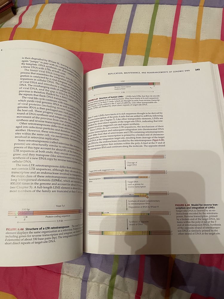 The Cell: A Molecular Approach