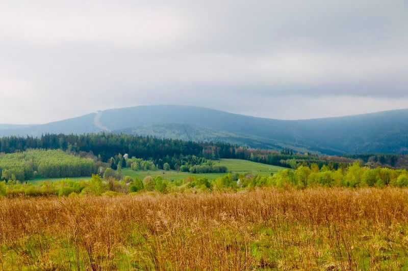 Działka Budowlana w Świeradowie Zdroju 1500 m2