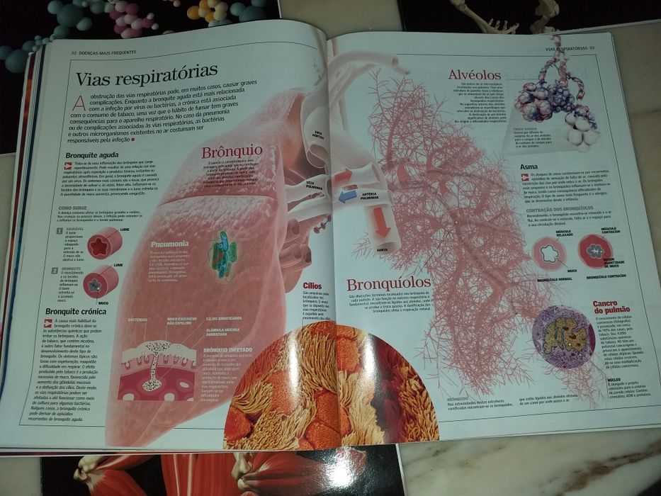 Livros sobre o Corpo Humano