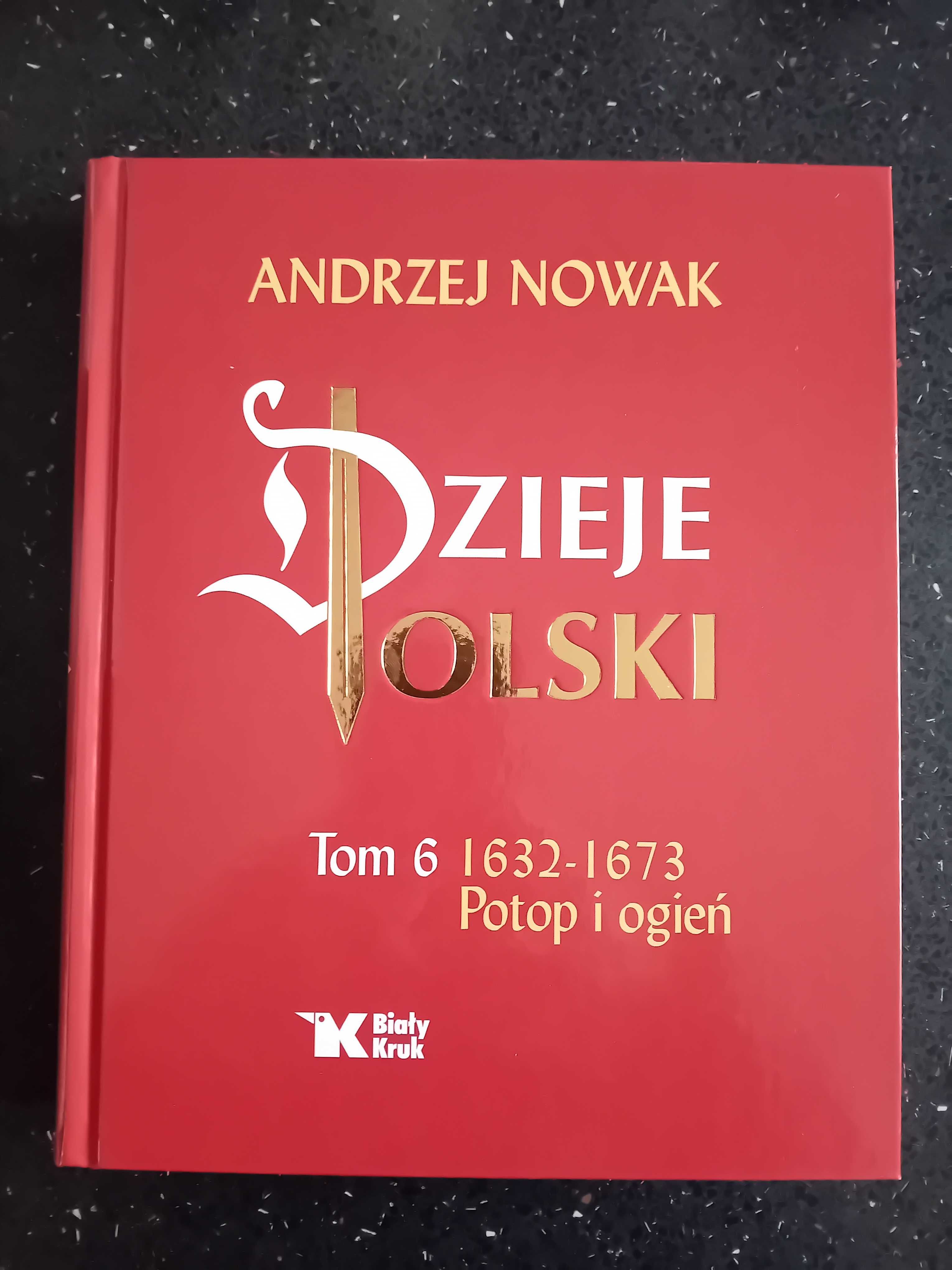 Dzieje Polski tom 6 Potop i Ogień