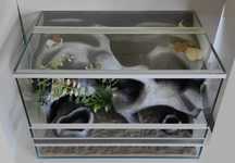 Terrarium dla jaszczurki, węża, TW15K3, AquaWaves