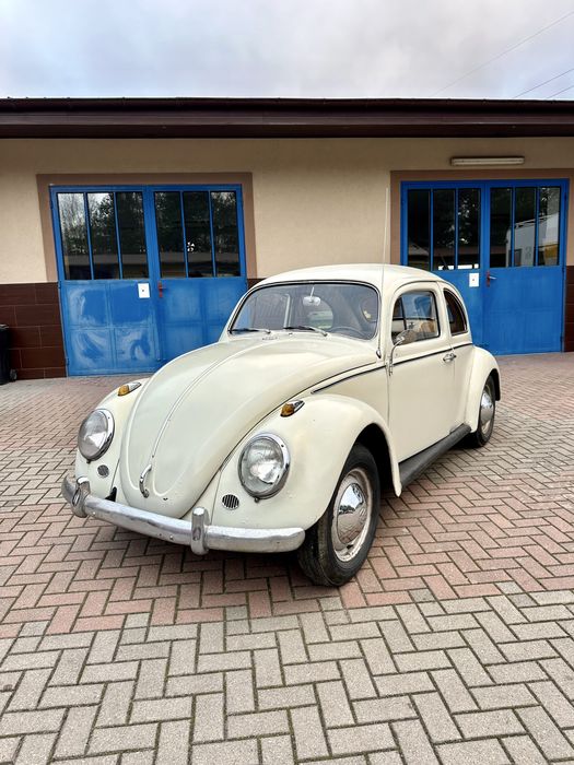 Garbus  1961 rok znalezisko garazowe