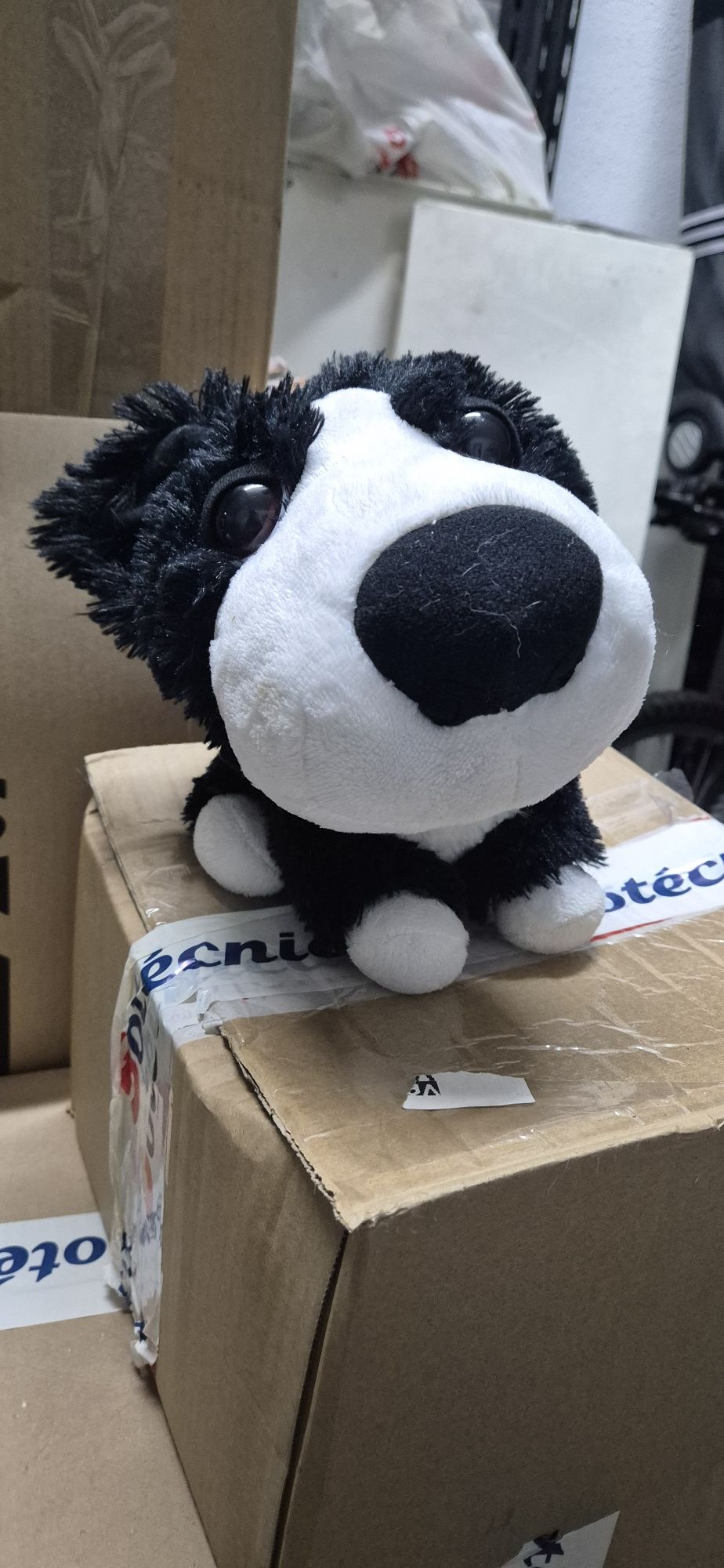 Peluches variados