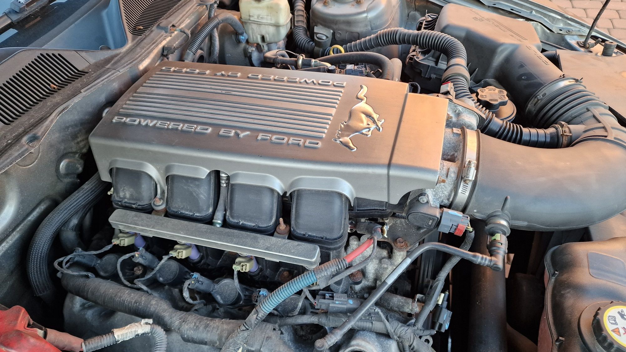 Mustang GT V8 ,  kabriolet.  zamiana