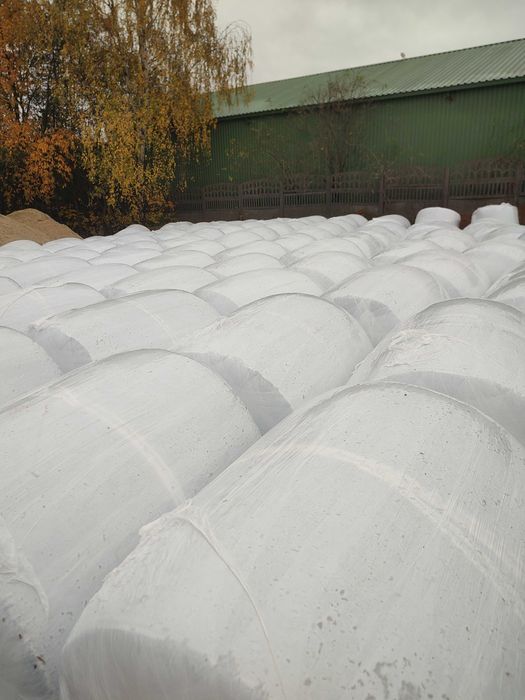 Baloty wysłodki buraczane luz