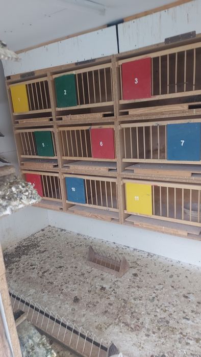 Cele lęgowe dla gołębi