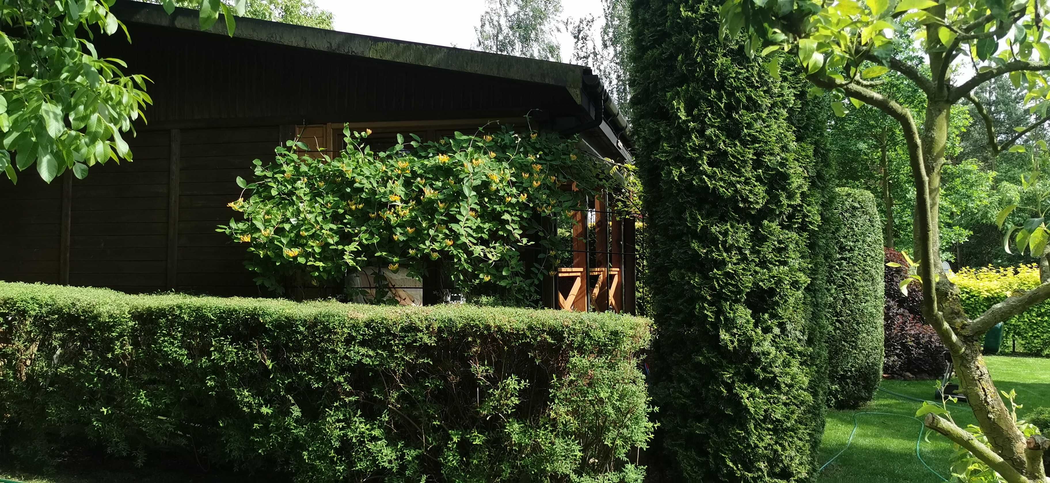 Działka z domkiem nad jez. Głuszyńskim - Głuszynek, Orle