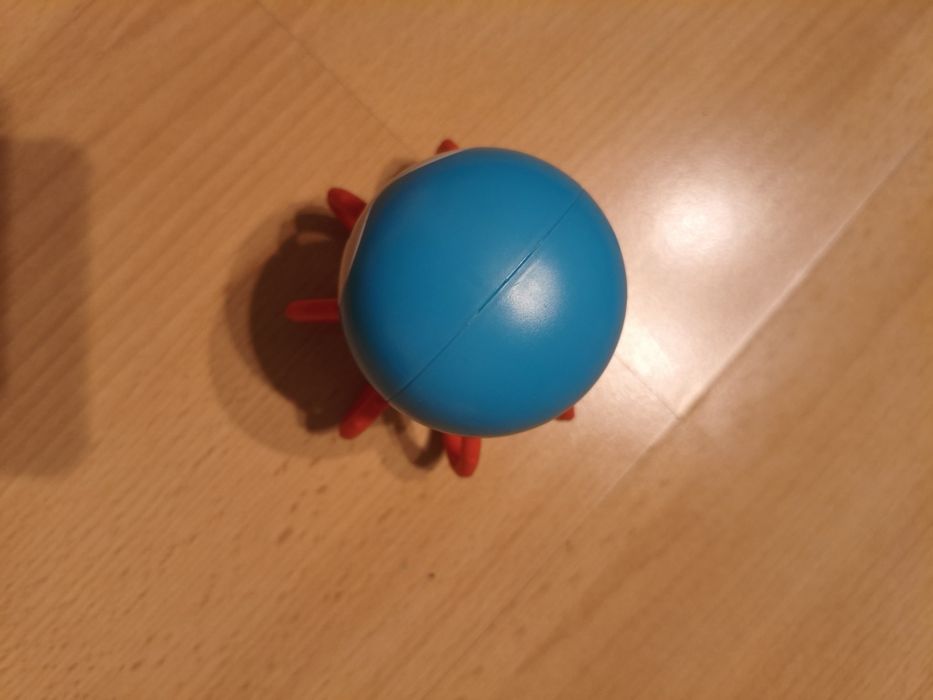 Gryzak   bam bam