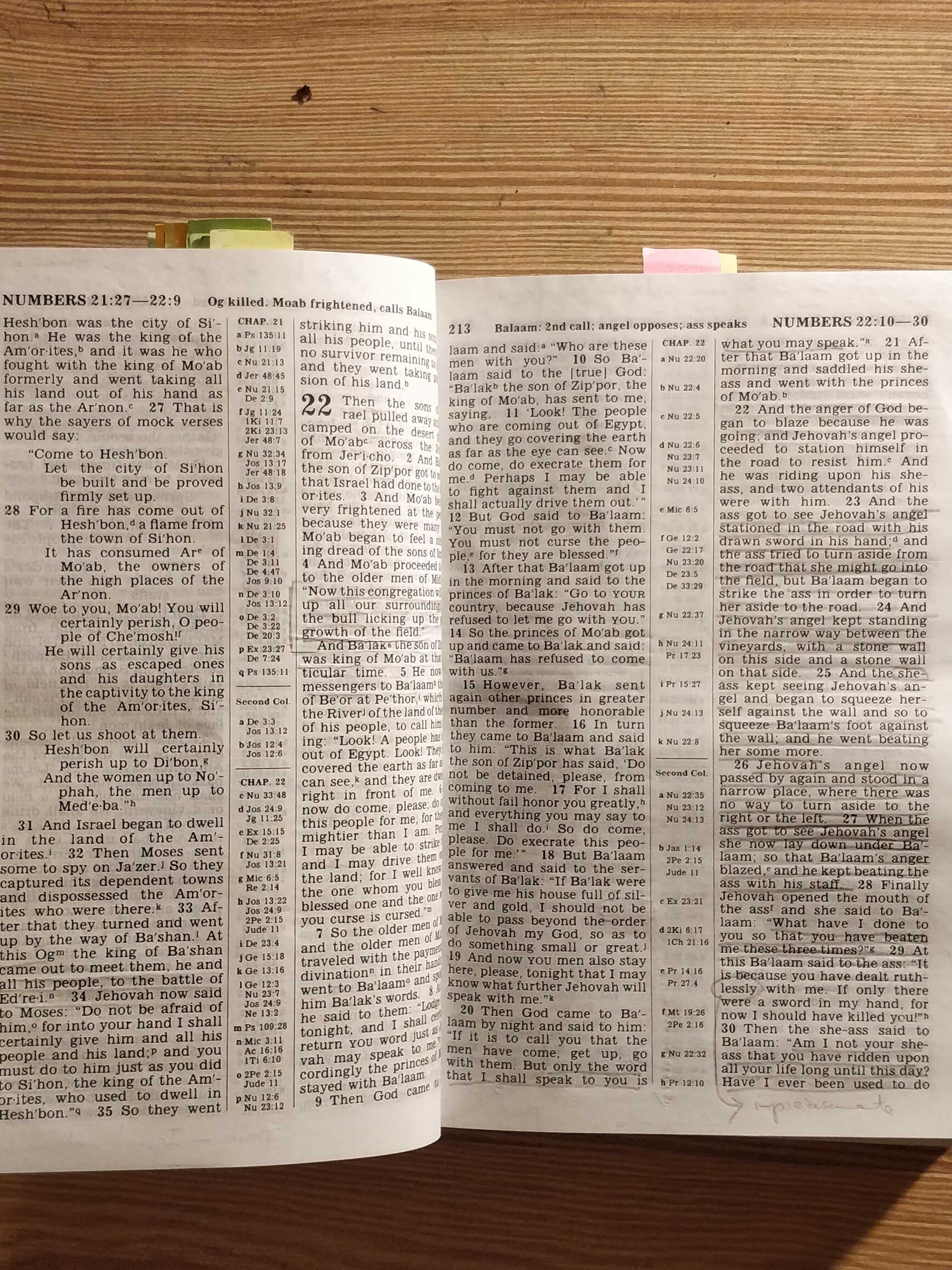 Bíblia Sagrada (Inglês)