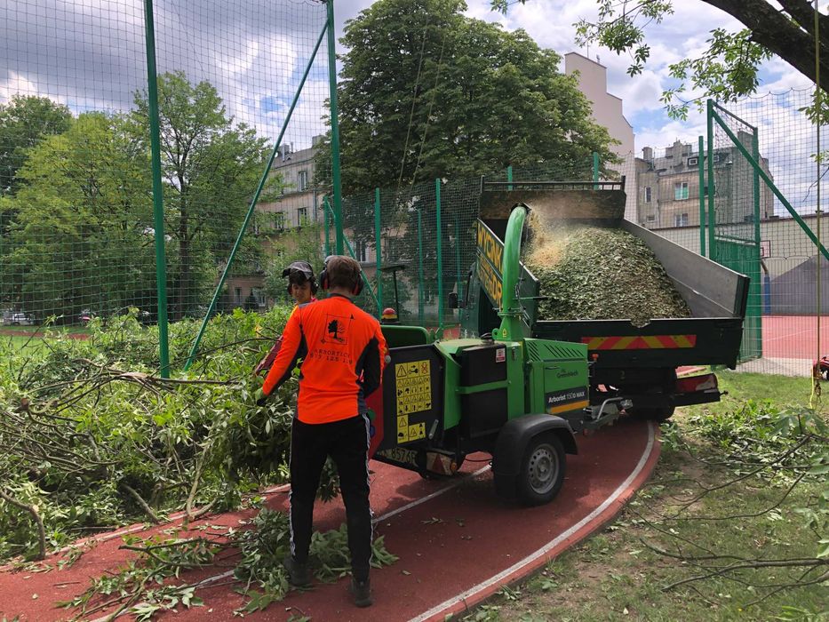 WYCINKA i pielęgnacja DRZEW ARBORYSTA rębak do gałęzi frezowanie pni