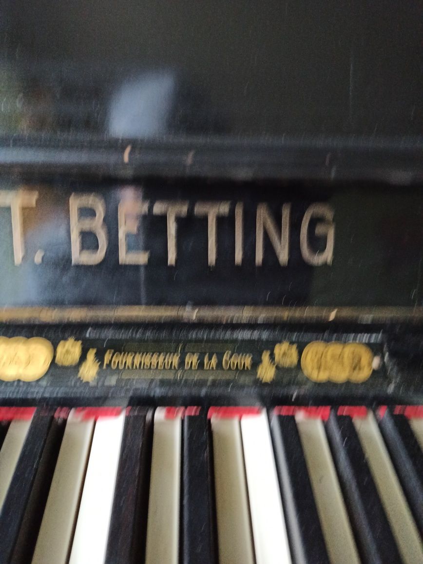 Фортепіано Theodor Betting
