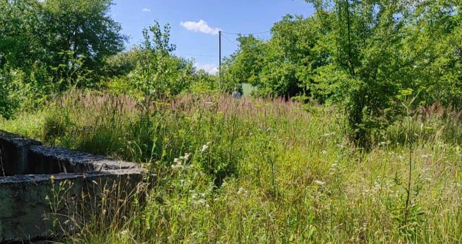 Продаж земельної ділянки Лісовогринівецька сільська рада, 10 соток
