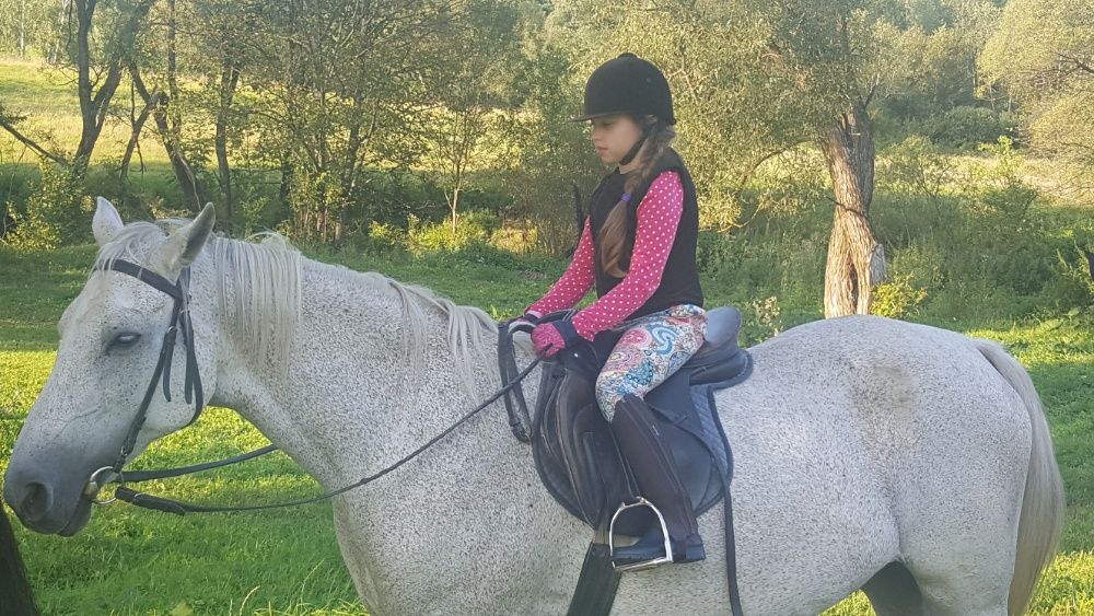 Brda Perełka Drewniany Domek w Bieszczadach