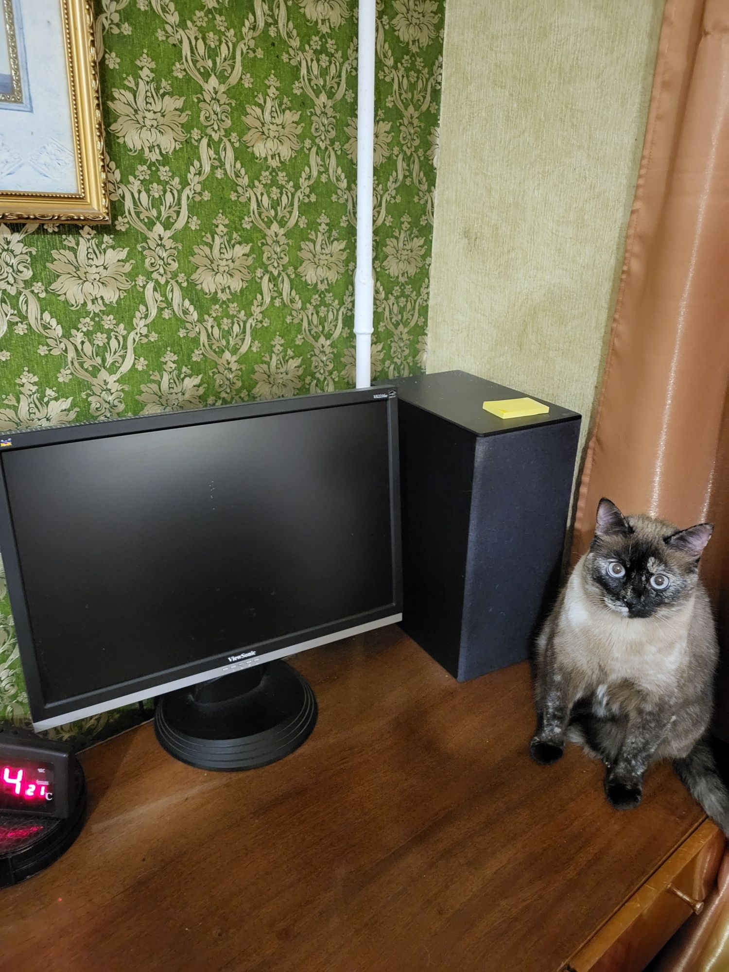 Монітор ViewSonic 22" VA2216w