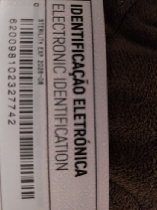 Gatinho Scottish Fold