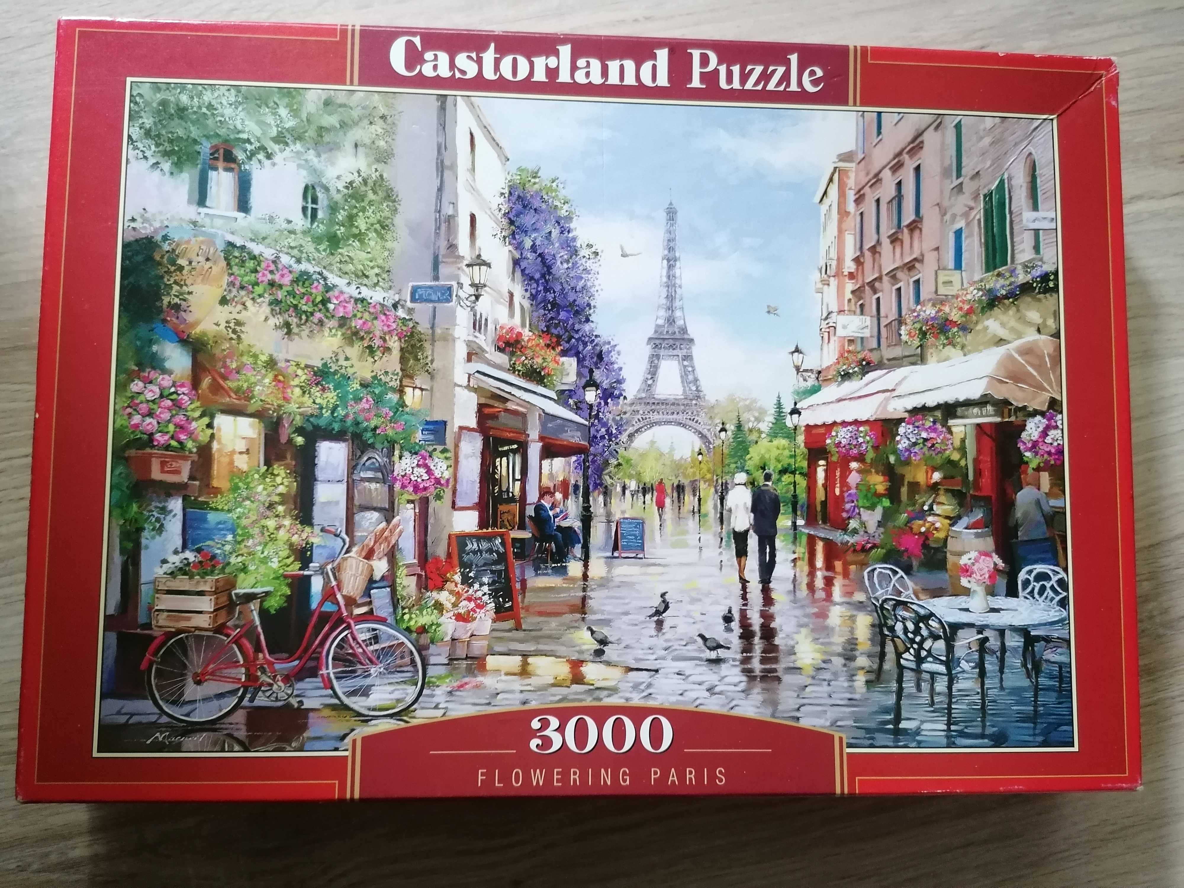Castorland 3000 Forest Paris puzzle