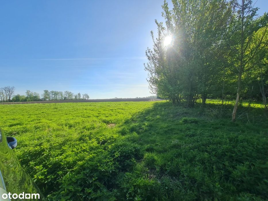 Działka budowlana 1480 m2 przy lesie