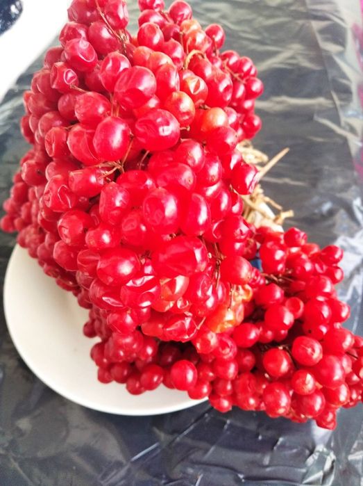 шиповник, барбарис, бояришник.Мята.  ЭКО- 25..