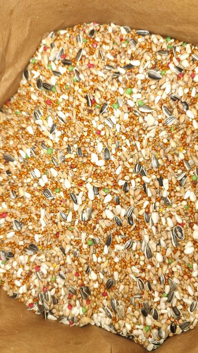 Karma dla papug małych i papug średnich Kampol 20kg