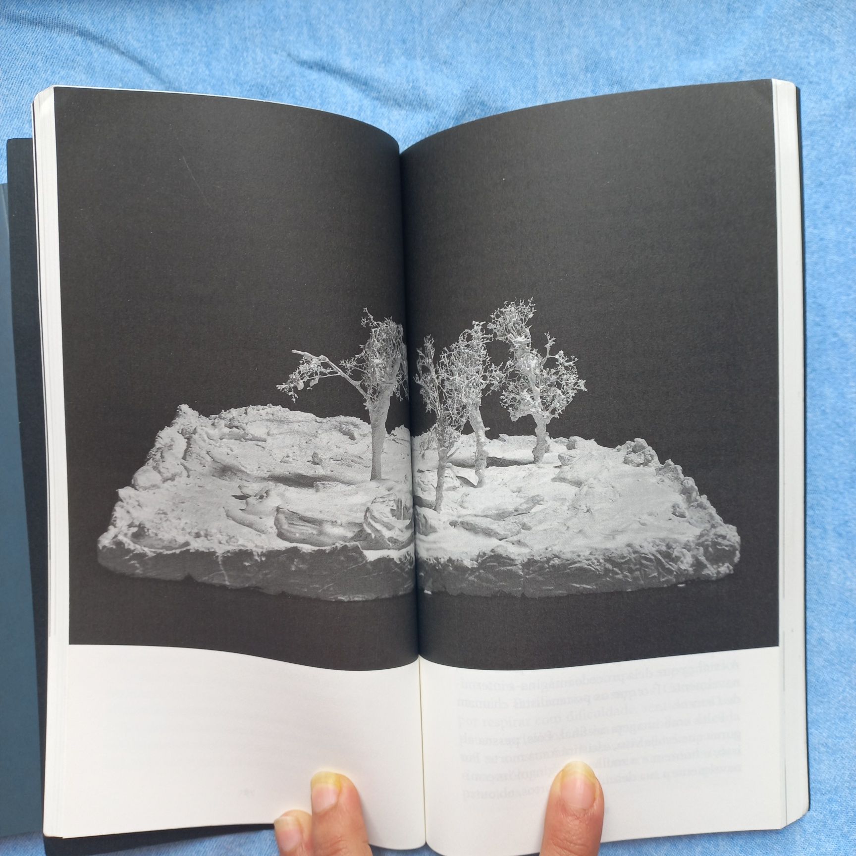 NOVOS Herberto Helder/Pascal Quignard