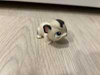 Littlest pet shop świnka morska