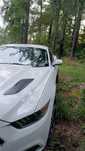Mustang GT Performance MG Motorsport Doinwestowany