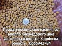 Посівна соя насіння сої аполло  гмо Харків