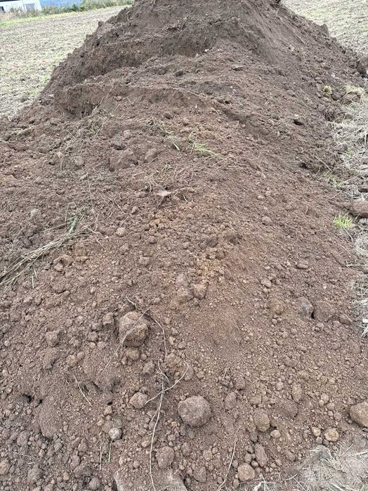 Sprzedam ziemię Humus - Wałbrzych - dostępna 1 tydz.