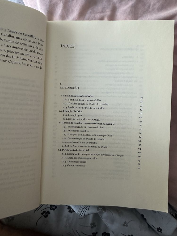 Manual de Direito do Trabalho, Bernardo da Gama Lobo Xavier
