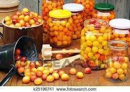 Fruta e compotas  biológicas