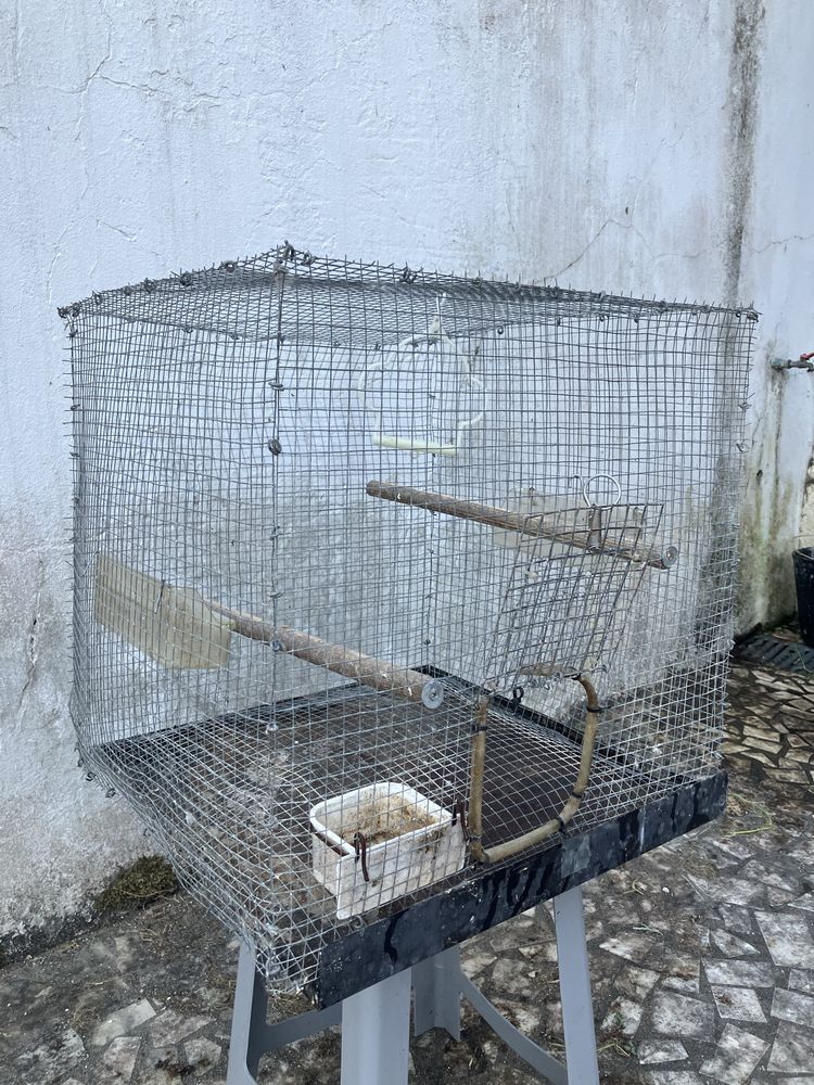 Viveiros para pássaros