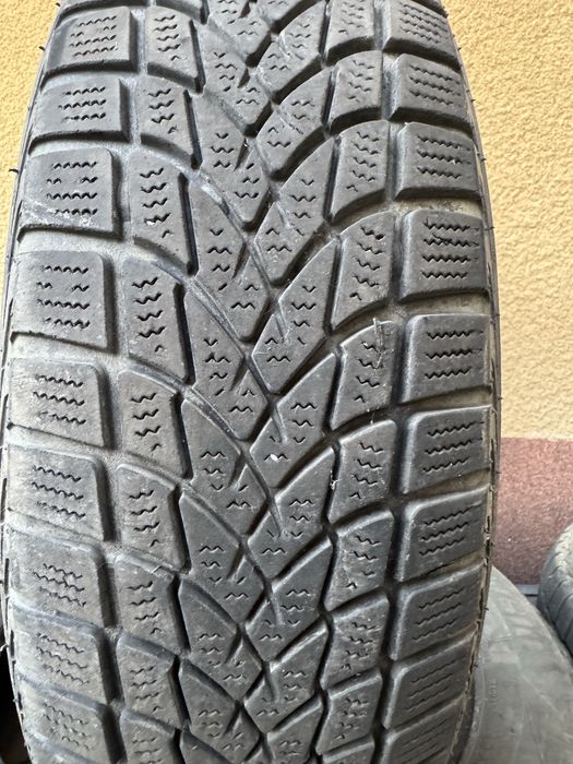 Opony zimowe Dayton 175/65 R15