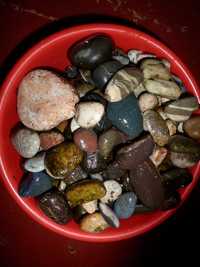 морские камни для аквариума