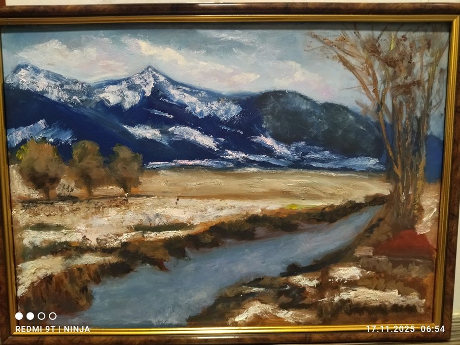 Продаю картину олія на двп (44/32) обрамлення в рамці