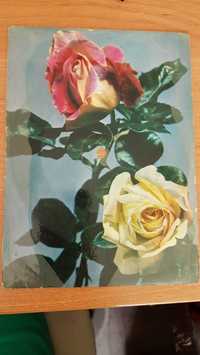 Irena Santor Jesienne róże pocztówka dzwiękowa