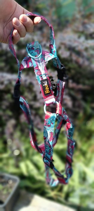 Szelki + smycz Hauki wzór grzybki