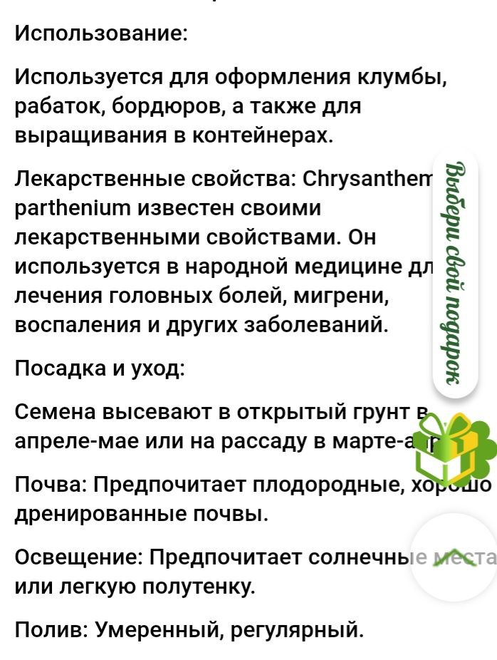 Ромашка бордюрная-пиретрум(россада и семена)