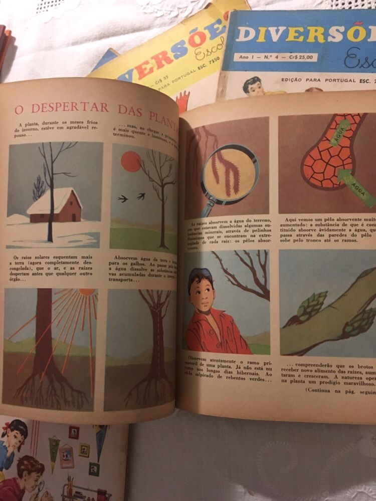 5 revistas Diversões Escolares anos 60