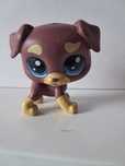 Littlest Pet Shop LPS nr 34